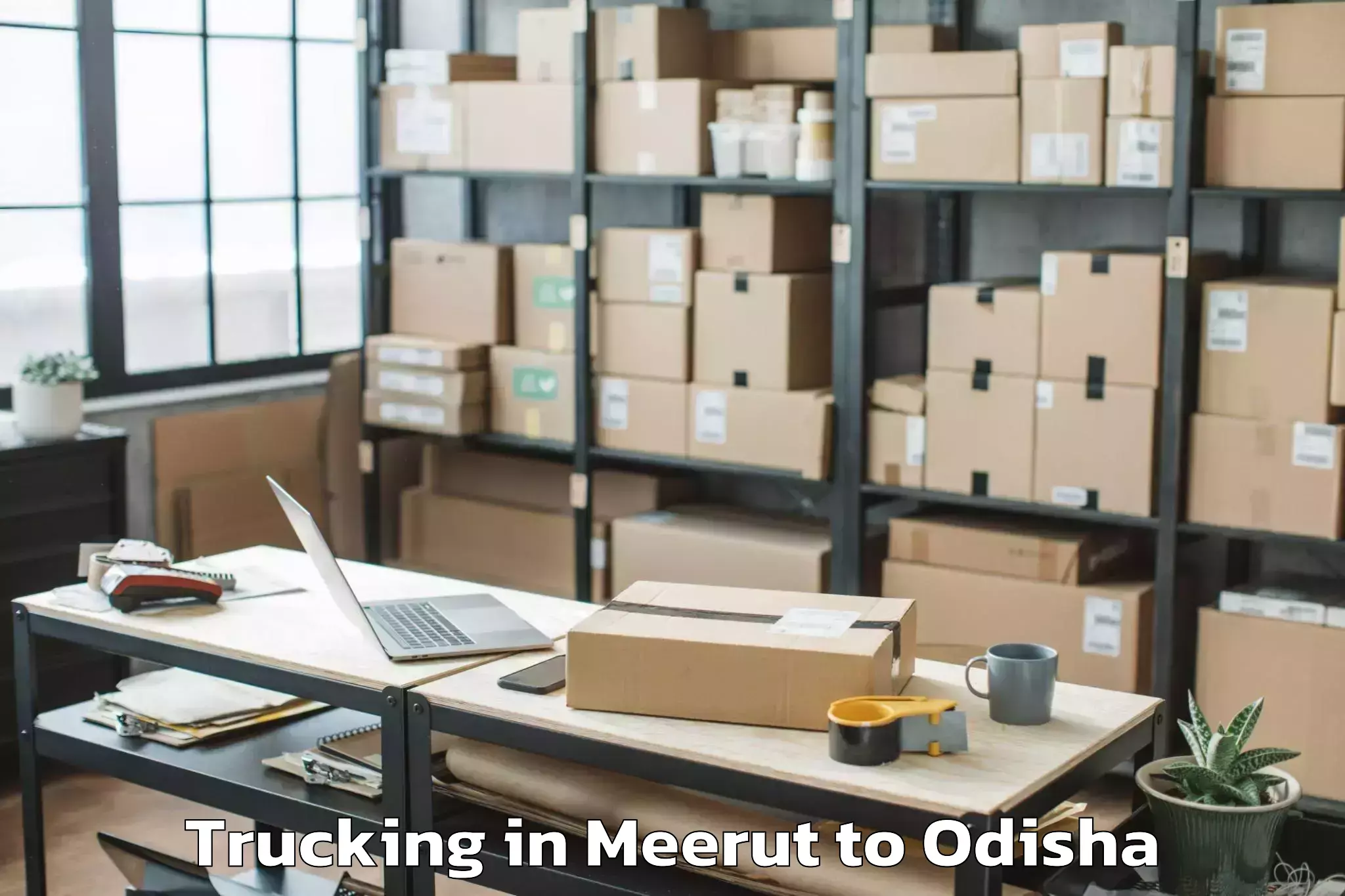 Top Meerut to Umerkote Trucking Available